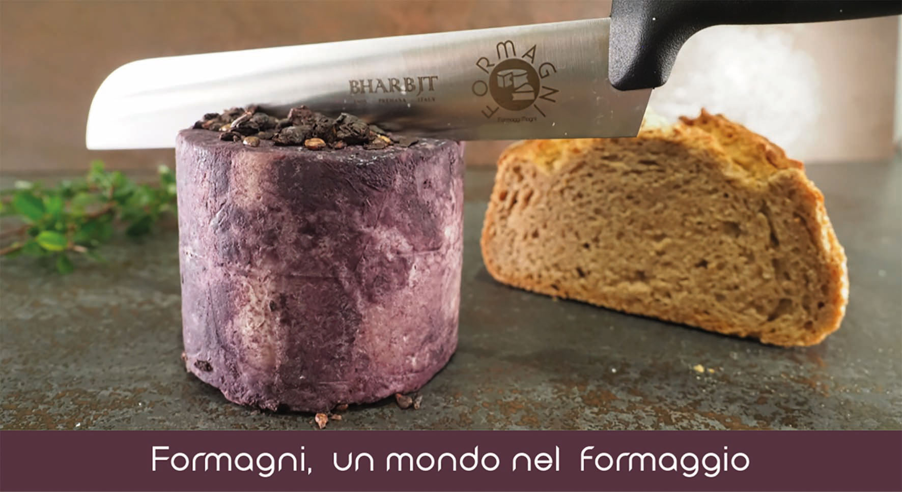 Formagni Testun Piccolo al Barolo