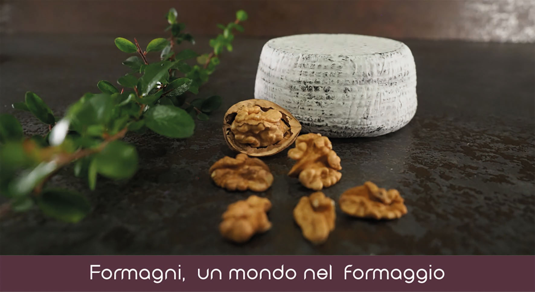 Formagni Blu Mororzzo