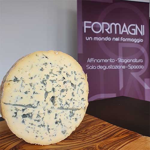 Formaggio a latte vaccino erborinato Fourme-d'Ambert