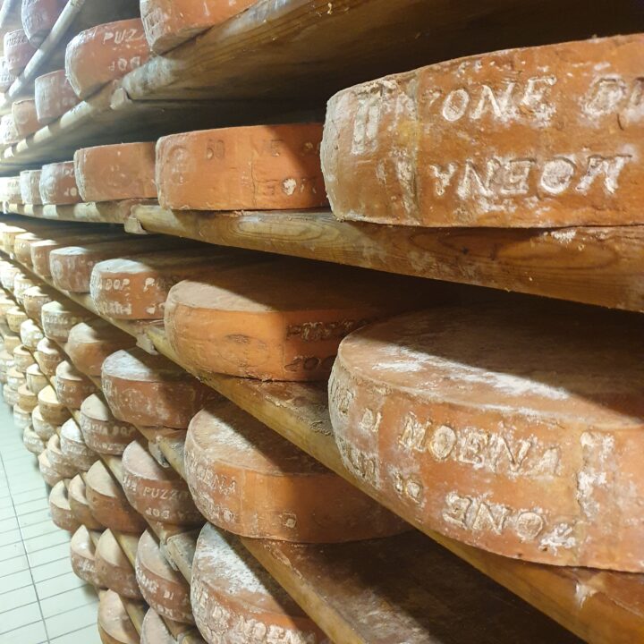 Puzzone lavorazione forme