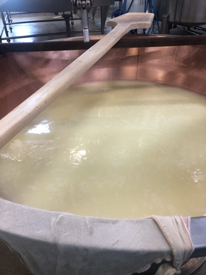 Puzzone lavorazione_d