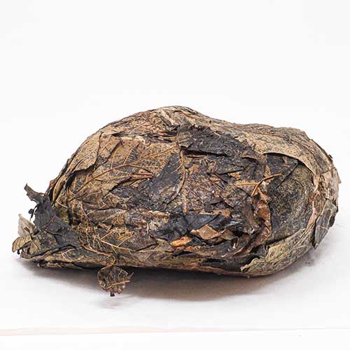 Pecorino foglianoce - immagine 2