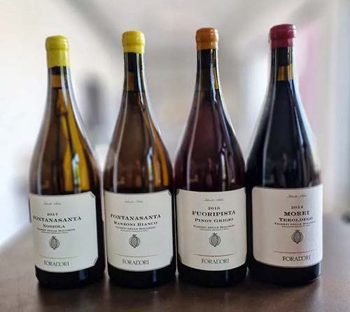 Vini-serata-Foradori