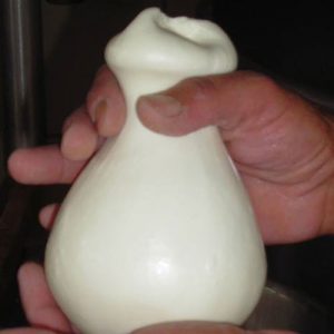 Provola delle Madonie