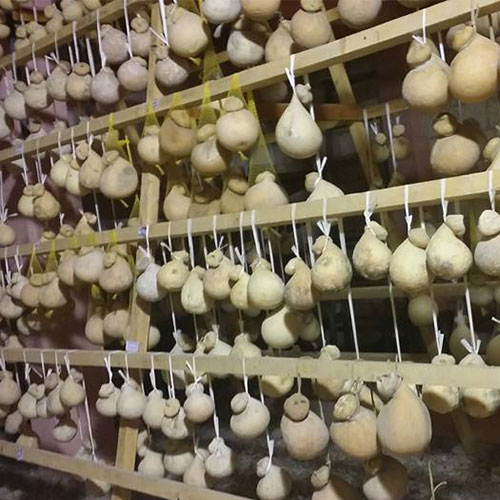 Provola delle Madonie - immagine 2