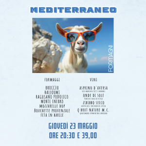 mediterraneo 4 (2)